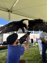 Handler with a bald eagle 