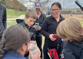 Volunteers release bees to help pollination efforts at Community Park