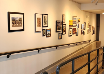 Assortment of resident photographs on display for the Superior SNAPS competition.