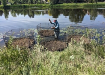 Floating islands installation at Riverbend Pond in Superior