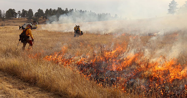 Grassland Management In Boulder County Story Map Now Available 9926