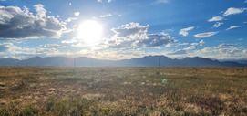 Coalton Trail open space