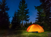 Tent surrounded by evergreen trees under a starry sky