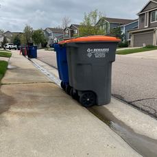 Two trash cans by the curb in a Superior neighborhood.