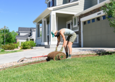 Woman removing lawn from a front yard