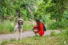 Person picks up after dog in a public park