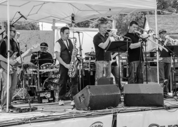 Band members in Six Foot Joe and the Red Hot Rhinos perform on stage