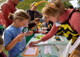 A young person holds a magnifying glass and inspects items at a booth at the Bee Boulder event. 