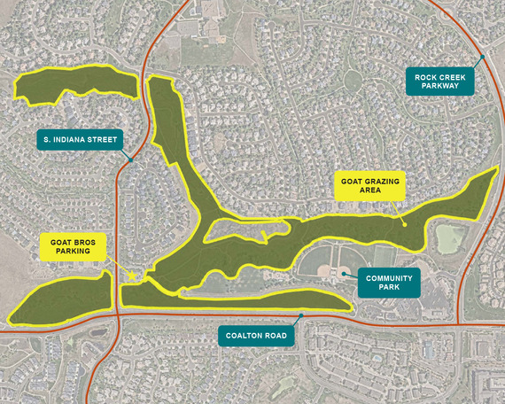 Map of Community Park showing the area that goat grazing will be occurring. 