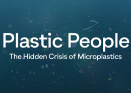 Promotional graphic for Plastic People film.