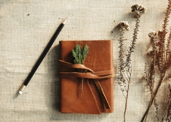 A nature journal, pencil and plants