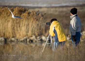 Two people birdwatching