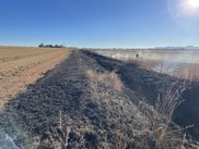 prescribed burn in open space ditch