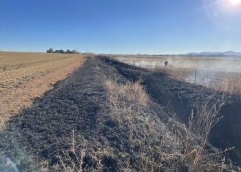 Prescribed fire in a field