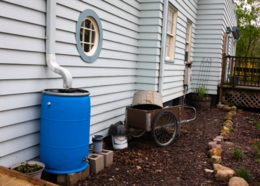 Blue rain barrel collecting water from a gutter on a house.