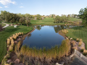 Aerial image of the pond in Purple Park