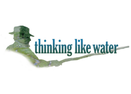 Thnking Like Water promotional graphic for the film
