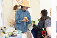 Farmer putting apples in a customer's bag.