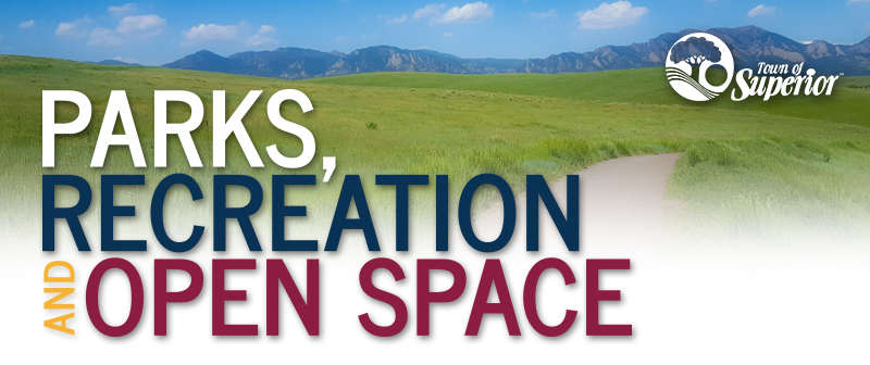 PROS Newsletter Summer Header