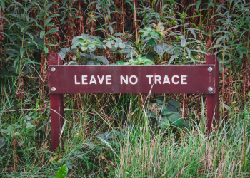 Brown wooden sign in the woods reading "leave no trace"