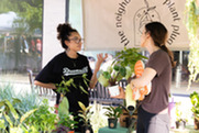 A woman at a plant stand speaks with a customer during the Superior Summer Market