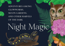 Dark background with an owl, moth, beetle, salamander, Rhododendron, fern, and mushrooms.