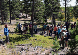A person in a hard hat talks to a group of people in the forest.