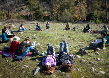 People lay in a circle in the grass during a Nature and Forest Therapy session