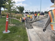 Crews work on the Coalton Road mill and overlay project