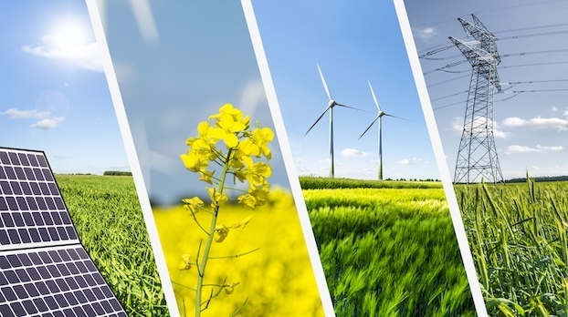 A yellow wildflower and an assortment of renewable energy images including: solar, wind, and electric.