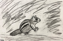 Pencil drawing of a chipmunk.