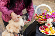 A tan dog receives a blessing in front of a colorful altar during a Day of the Dog celebration
