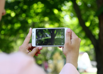 Two hands hold a phone while taking a photo of greenery