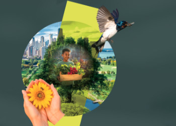 Graphic with a flower and a bird.