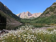 Maroon Bells underneath a clear blue sky with white flowers in the foreground