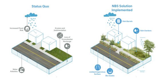 Diagram for Boulder County's Grey to Green fund, showing how grey surfaces can be transformed into green, water reducing surfaces.