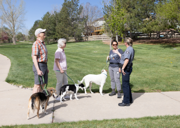 Three people with leashed dogs speak with an animal protection officer in the park