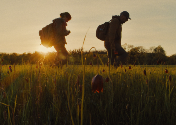 Two people walk through grass during golden hour