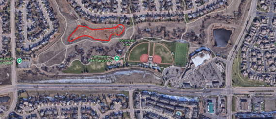 Aerial view of Flor Pond in Community Park