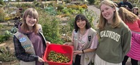 Three Girl Scouts smile with a red basket of fruit