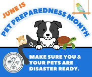 June is Pet Preparedness Month graphic with dogs
