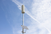 Emergency outdoor warning siren system