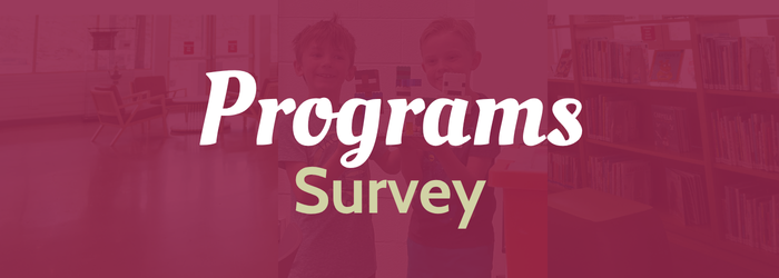 program survey