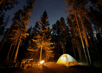 A yellow tent with trees and a night sky backdrop