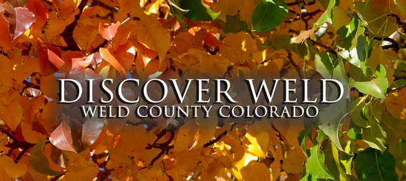 Discover Weld Fall Header