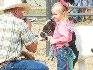 Weld County Fair Bucket Calf Show