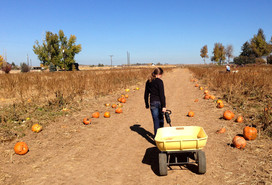 Fall Fun for the Family