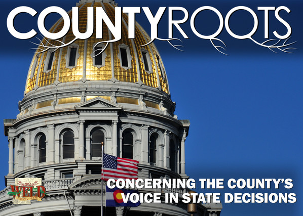 County's voice in state legislation