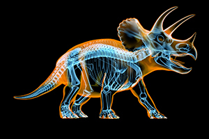Triceratops