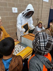 A bee keeping class